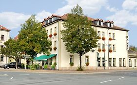 Schwarzer Bär Jena